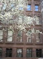 Photo of 12-14 East 64 St Ow
