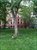 The Monterey from Morningside Park