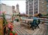 Roof Deck