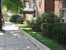 Tree Lined Street