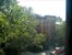 Treetops