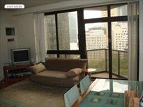 100 United Nations Plaza, Apt. 17D, Midtown East