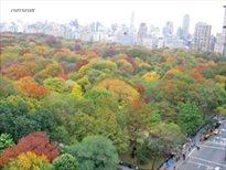 100 Central Park South, Apt. 5BC, Central Park South