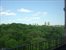 Central Park