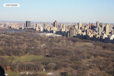 Living Room View, Central Park
