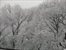 Central Park View in the Snow