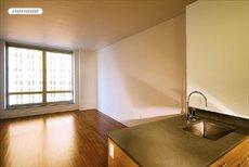30 West Street, Apt. 15D, Battery Park City