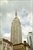 Empire State View