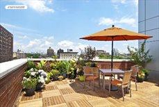 212 South Oxford Street, Apt. PH-F, Fort Greene