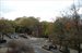 Clinton Ave. view