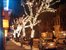 Bergen Street at Night
