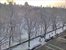best of Central Park