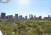 Central Park Views