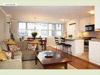 222 East 80th Street, Apt. 10FG, Upper East Side
