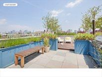 321 Union Street, Apt. 4B, Carroll Gardens