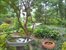 Community Garden