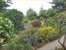 Community Garden