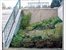 Outdoor Space