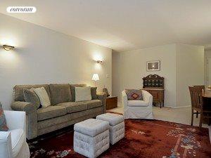 Large living room