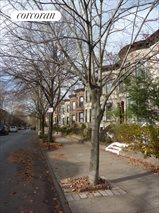 181 Midwood Street