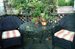 Outdoor Space