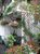 Outdoor Space