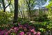 Outdoor Space