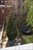 Outdoor Space