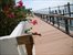Outdoor Space