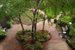 Outdoor Space