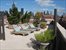 Beautiful Views and Sunshine on the Common Rooftop