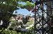 Beautiful views through the flower covered arbors!