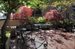 Outdoor Dining in the Planted Roof Garden!