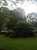 The building's park-like front yard.
