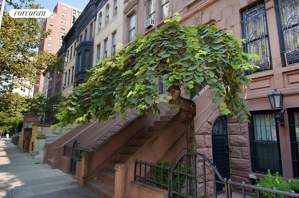 Surrounded by charming row of brownstones