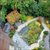 Outdoor Space