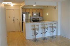 516 West 47th Street, Apt. S3H, Clinton