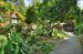 Building Garden