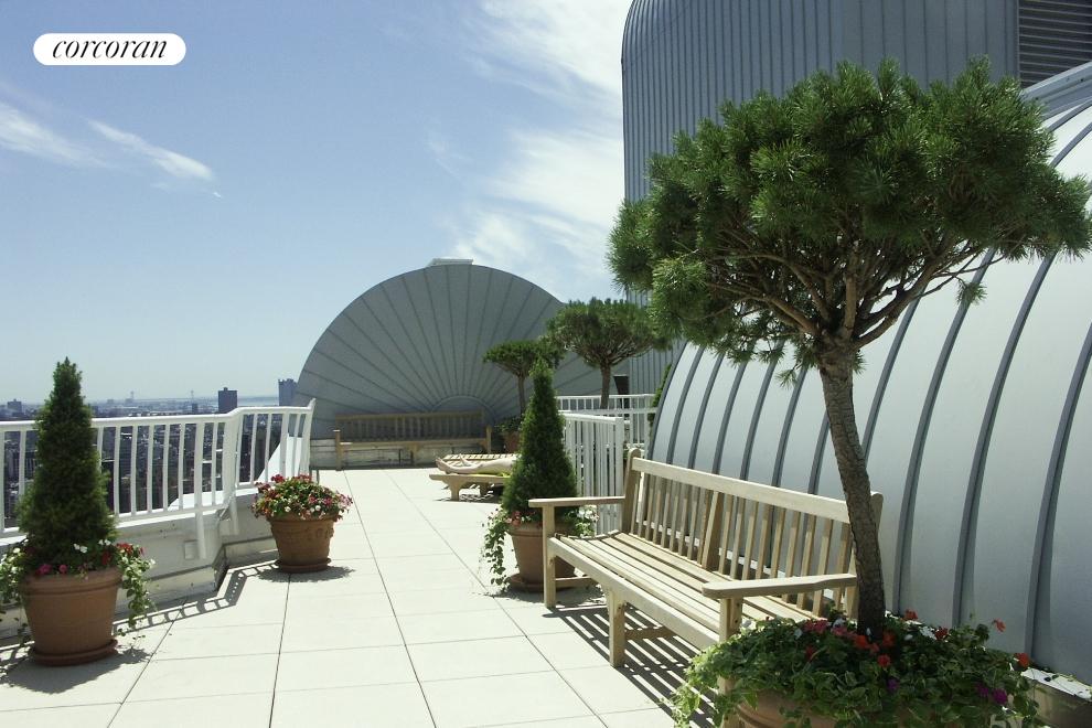 Common Roof Deck