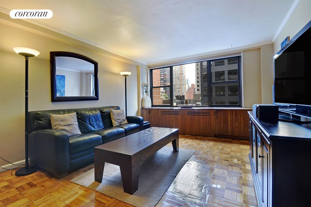 South facing Sunny Living Room
