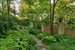 Lush and shady garden with southern exposure