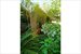 Outdoor Space