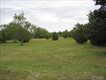 325 Wells Rd