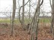 7217 Great Peconic Ba Blvd