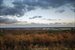 Panoramic southerly views to Ocean
