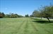 Front Lawn