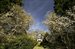 Mature Landscape