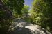 Tree Lined Entrance