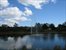 Pond