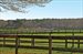 38 acres